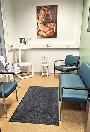 Pohjois-Suomen Eläinsairaalan Kissaystävällisen klinikan odotusaula