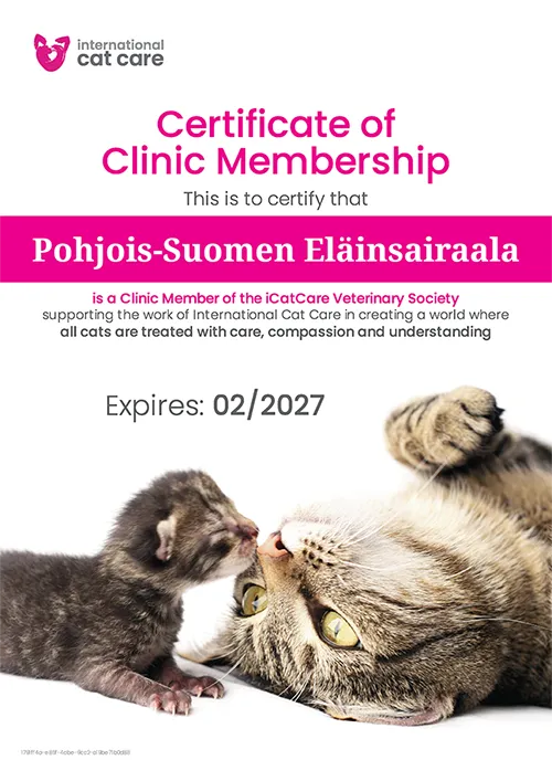 Pohjois-Suomen Eläinsairaalan Kissaystävällisen klinikan iCatCare-sertifikaatti