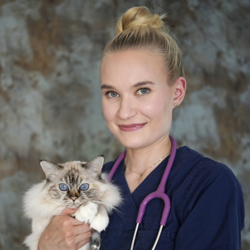 Sini Salminen (o.s. Lantela)
