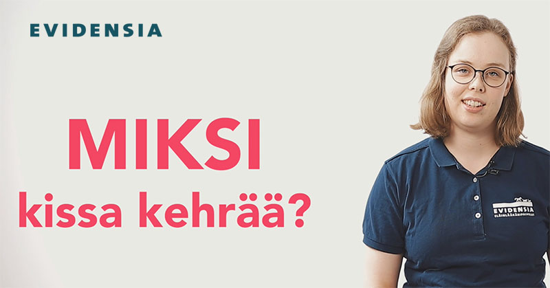 Miksi kissa kehrää?