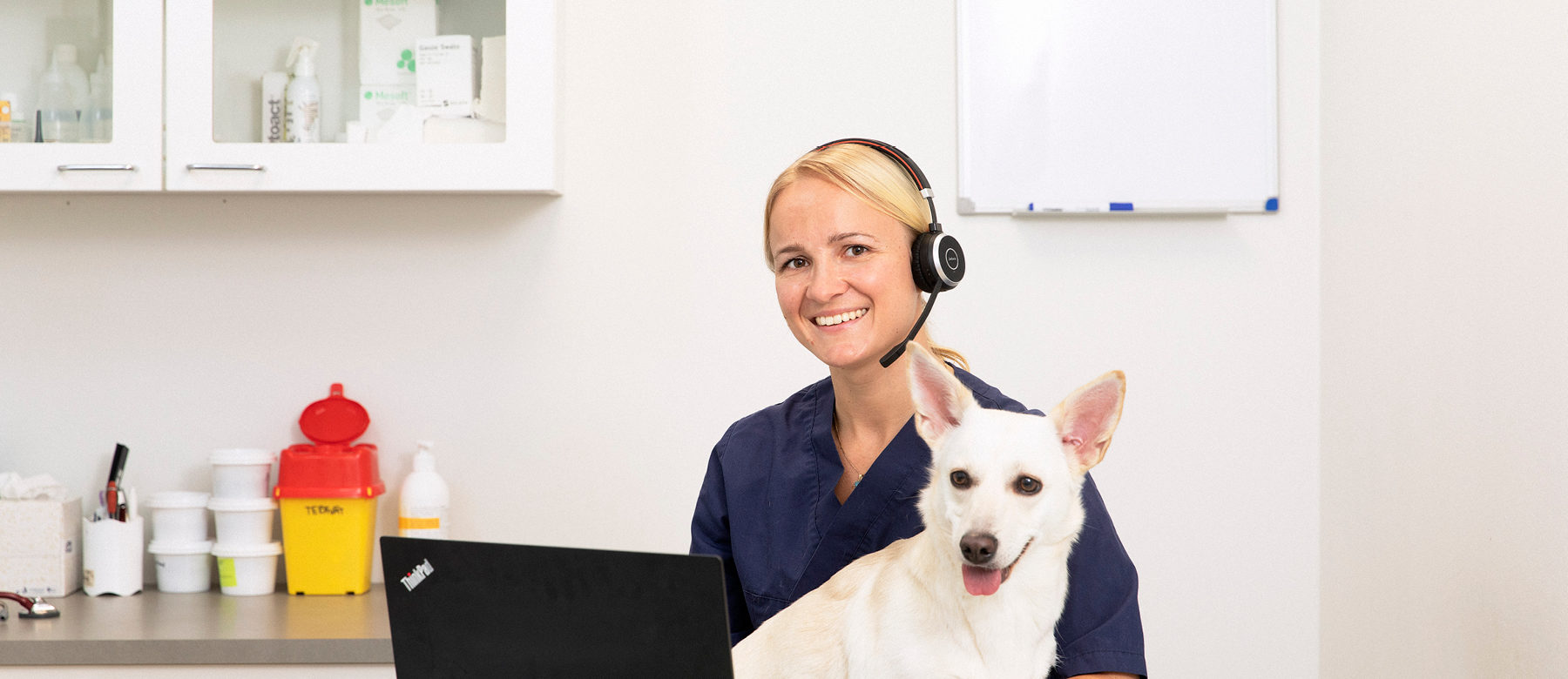 Veterinary Online Consultation