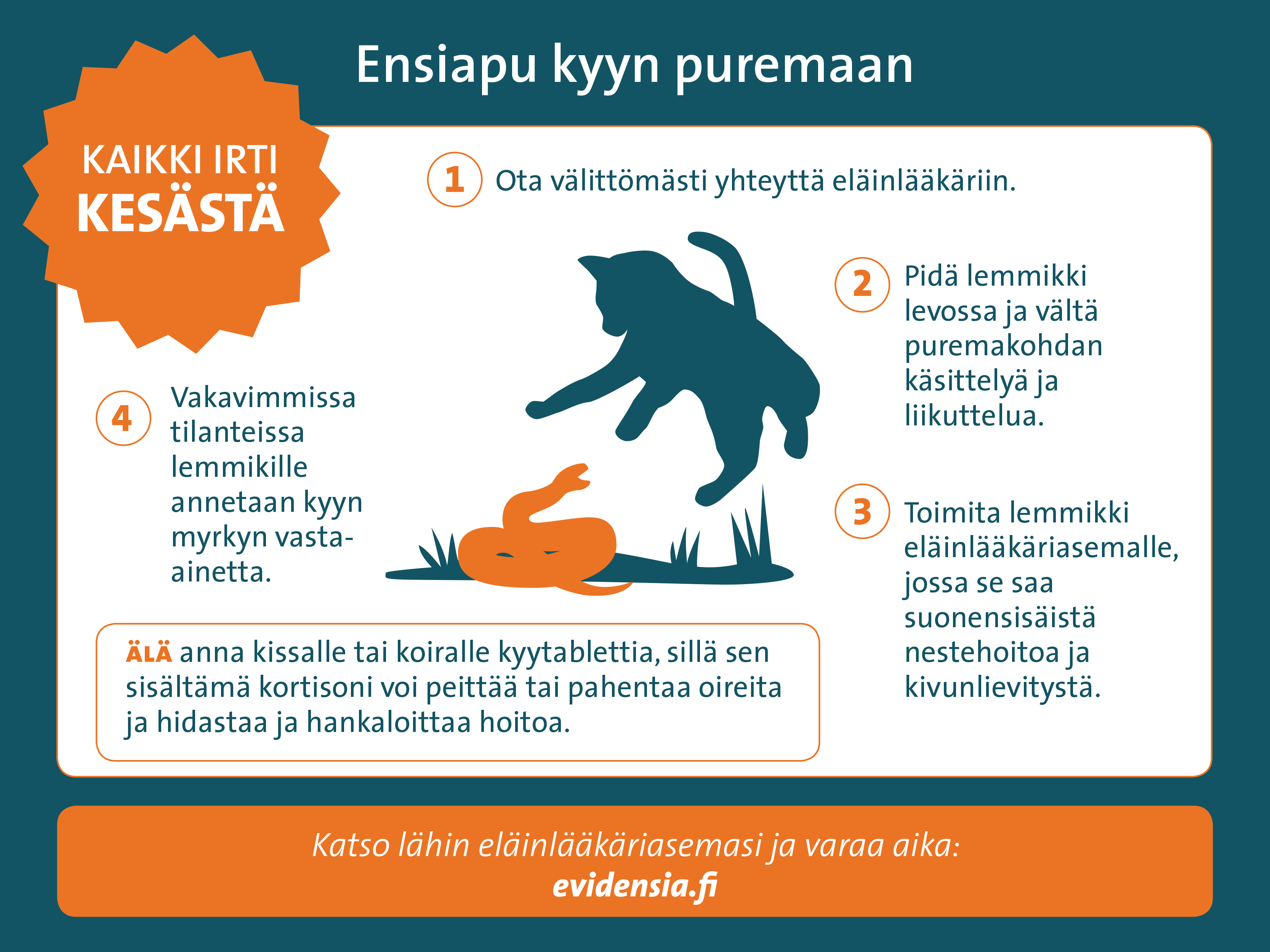 Kyyn purema kissalla - Evidensia Eläinlääkäriasemat