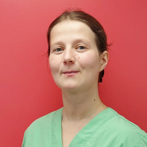 Katri Saarelma