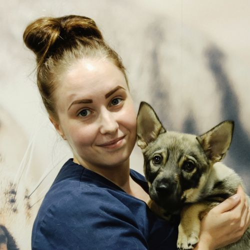 Sofia Mäenpää