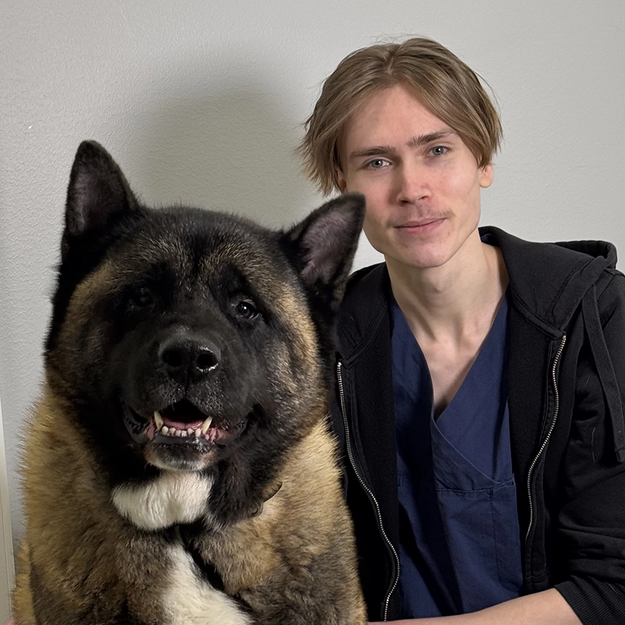 Hugo