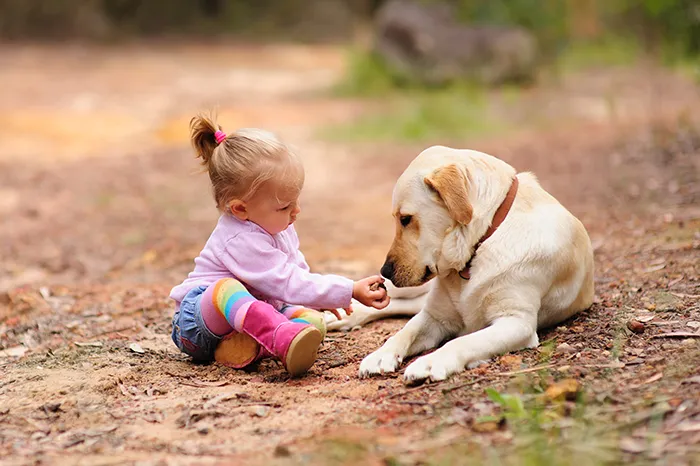 lapsi ja koira maassa