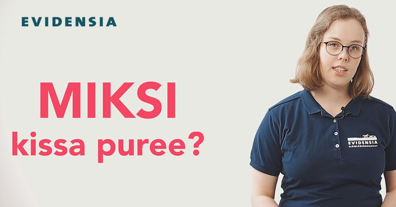 Miksi kissa puree?