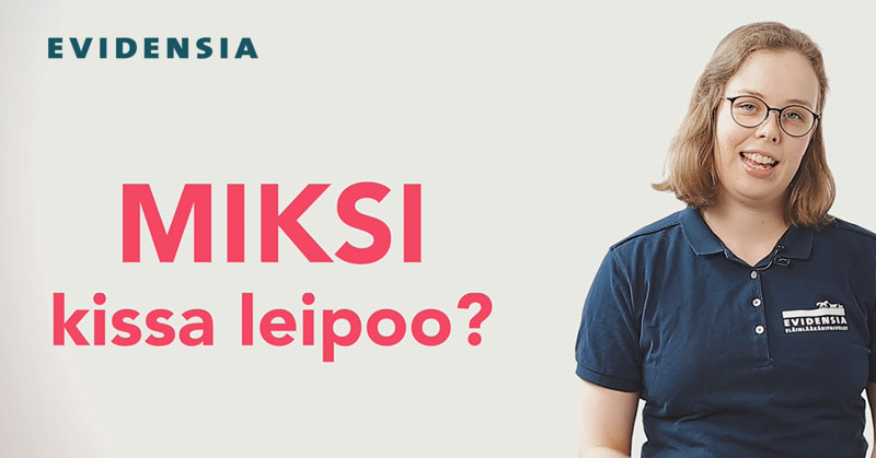 Miksi kissa leipoo?