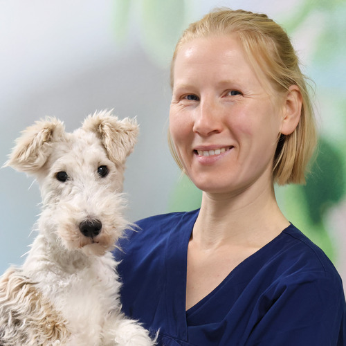 Tuija Savolainen