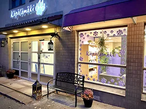 Harmaa koira rapsutettavana lattialla